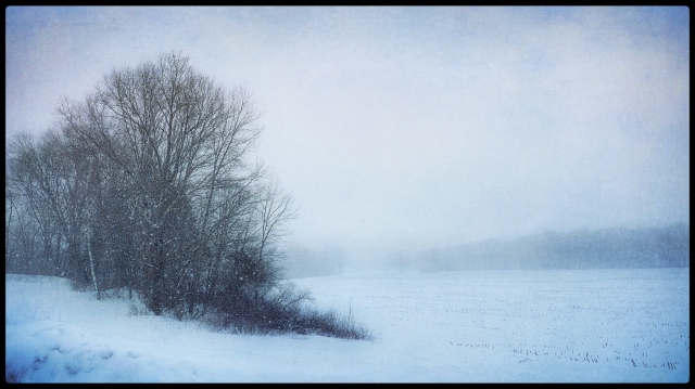 Corn Field in Snow #1, Woodbury, CT © Steven Willard